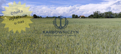Działka Sprzedaż Żarnowo