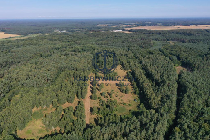Działka Sprzedaż Osina 2