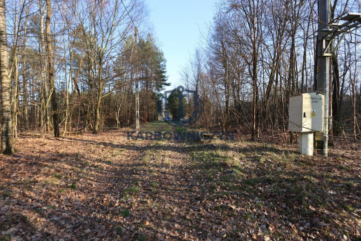 Działka Sprzedaż Osina 4