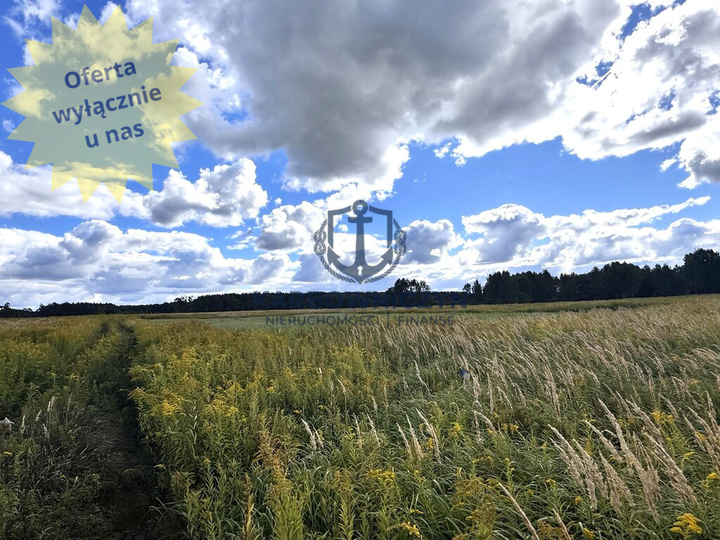 Działka Sprzedaż Żółwia Błoć