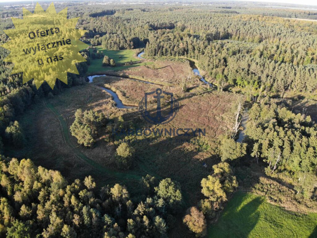 Działka Sprzedaż Goleniów 1
