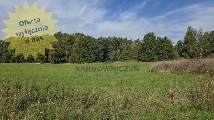 Działka Sprzedaż Przęsocin 1