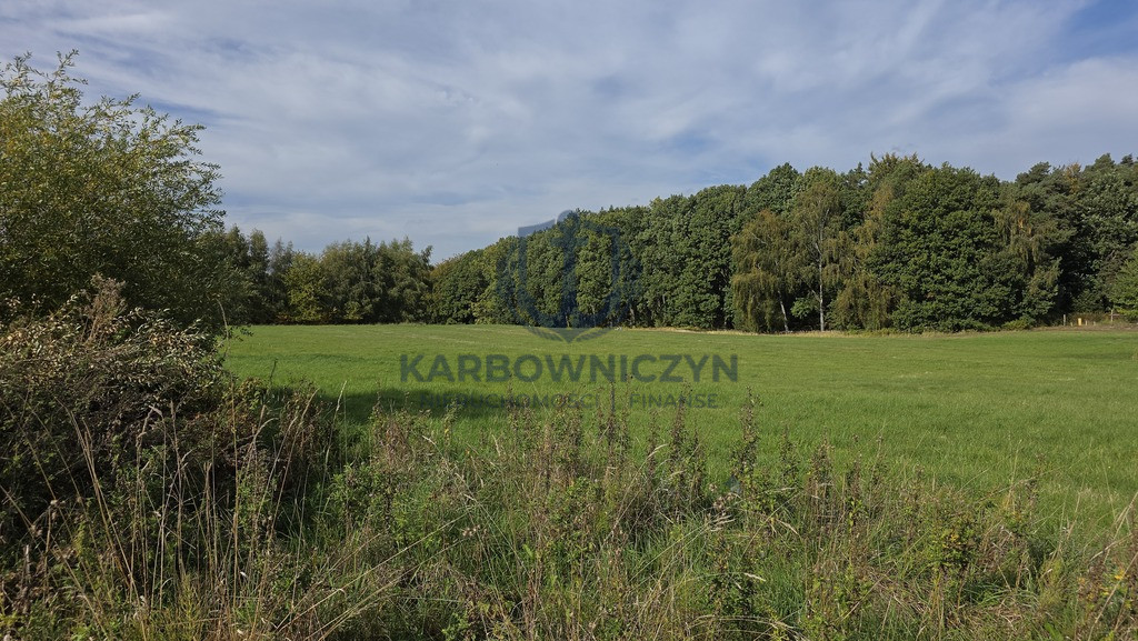Działka Sprzedaż Przęsocin