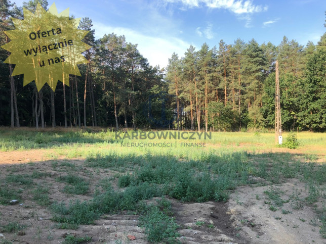 Działka Sprzedaż Trzebież 1