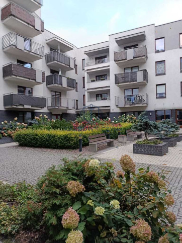 Mieszkanie Wynajem Szczecin Centrum &nbsp;arkowa 12