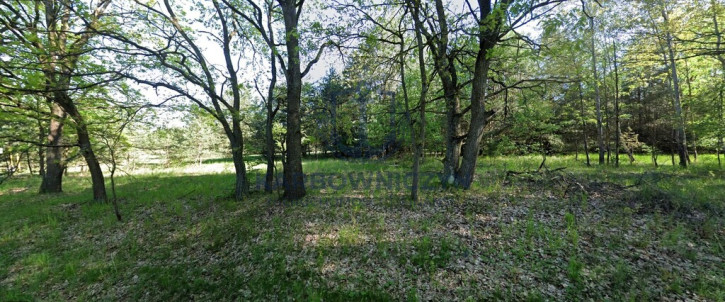 Działka Sprzedaż Ostrowiec 3