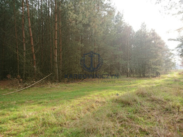 Działka Sprzedaż Starzyce