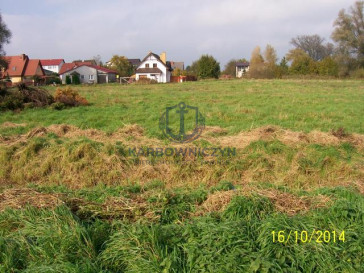 Działka Sprzedaż Choszczno