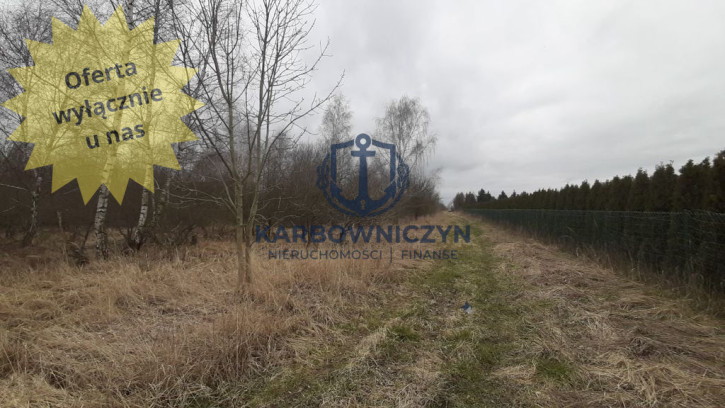 Działka Sprzedaż Karwowo 1