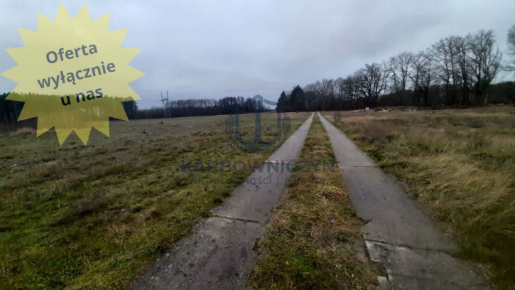 Działka Sprzedaż Stepnica 1