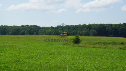 Działka Sprzedaż Bobolice