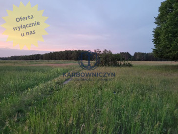 Działka Sprzedaż Lubczyna