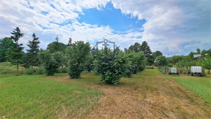 Dom Sprzedaż Podlesie 30
