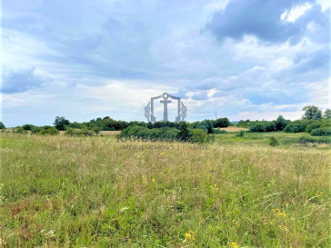 Działka Sprzedaż Gryfino