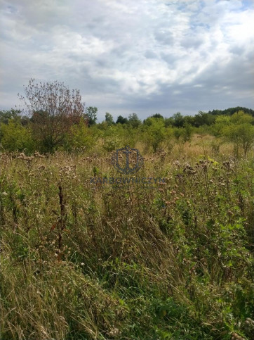 Działka Sprzedaż Pyrzyce 1