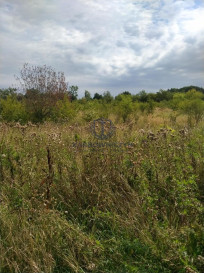 Działka Sprzedaż Pyrzyce