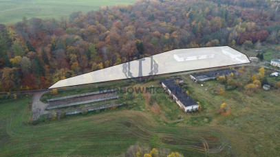 Magazyn Sprzedaż Dziwogóra