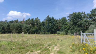 Działka Sprzedaż Kościno
