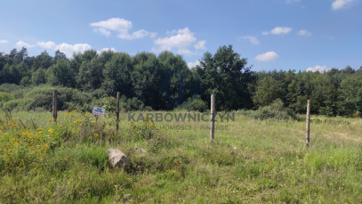 Działka Sprzedaż Kościno