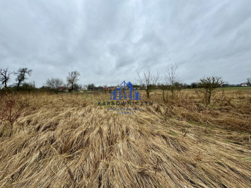 Działka Sprzedaż Nieborowo