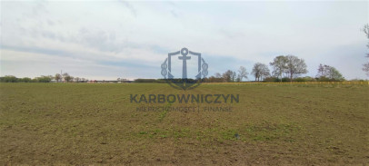 Działka Sprzedaż Lubczyna