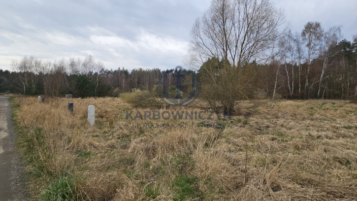 Działka Sprzedaż Dołuje 6