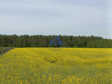 Działka Sprzedaż Stawno