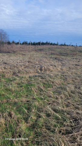 Działka Sprzedaż Zieleniewo 6