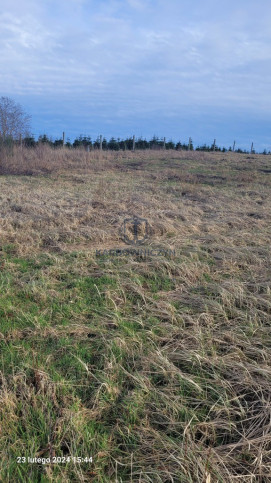 Działka Sprzedaż Zieleniewo 3
