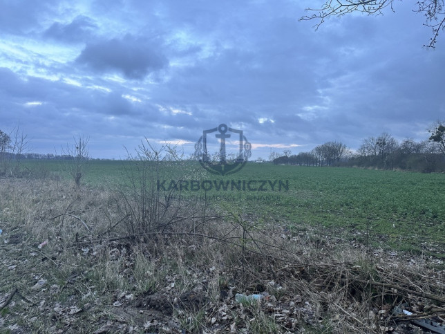 Działka Sprzedaż Ryszewko 7