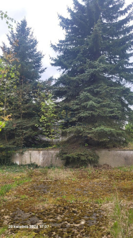 Obiekt Sprzedaż Recz Kolejowa 5