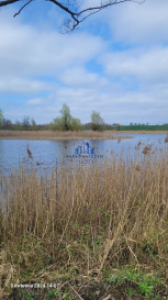 Działka Sprzedaż Zieleniewo