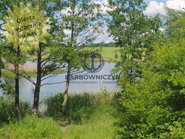 Działka Sprzedaż Zieleniewo 1