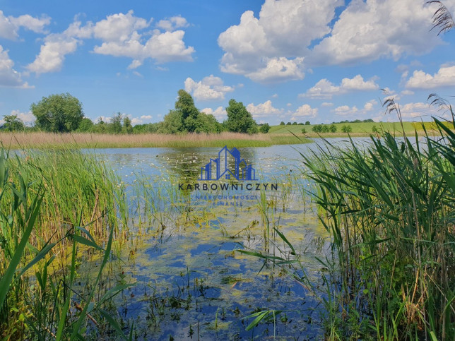 Działka Sprzedaż Zieleniewo 2