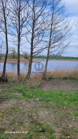 Działka Sprzedaż Zieleniewo 1