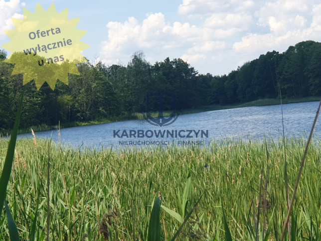 Działka Sprzedaż Zieleniewo 1