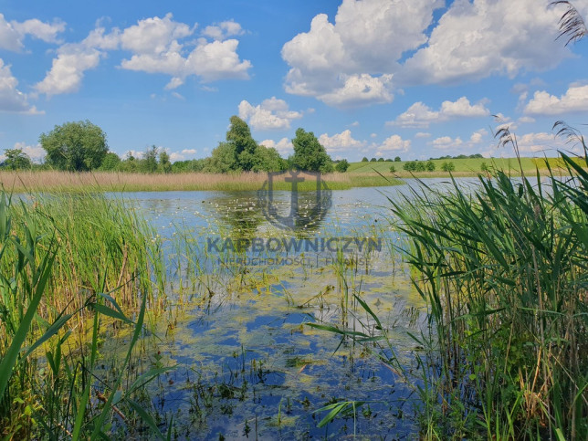 Działka Sprzedaż Zieleniewo 2