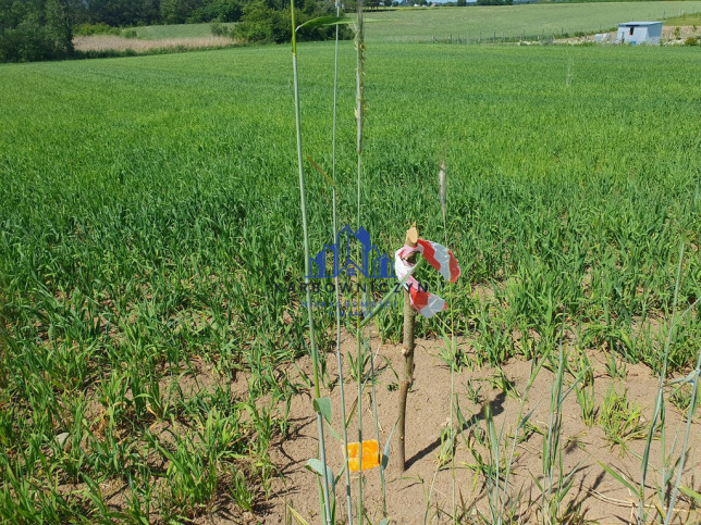 Działka Sprzedaż Zieleniewo 3