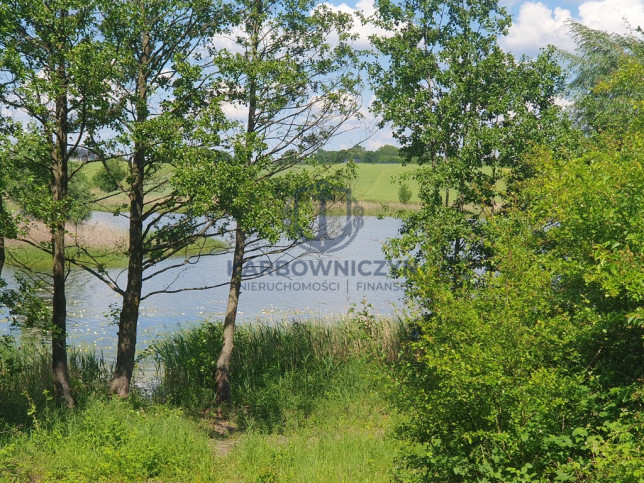 Działka Sprzedaż Zieleniewo 4